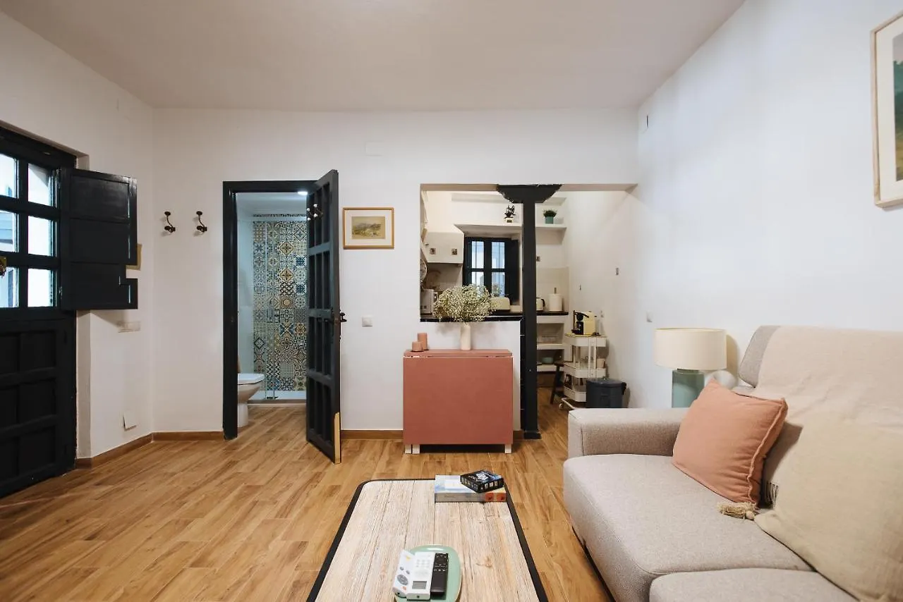 Aitana'S Retreat With Charming Garden Apartment Seville Spain