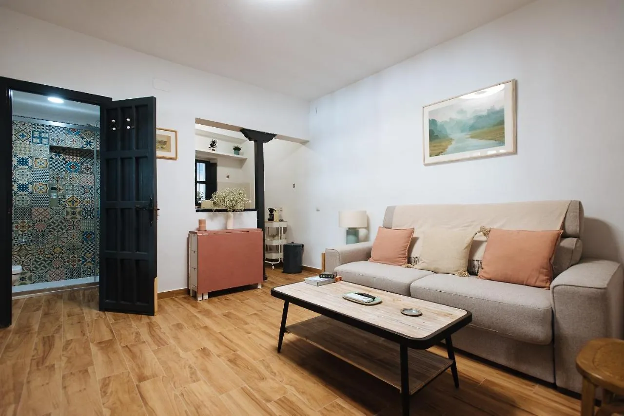 Aitana'S Retreat With Charming Garden Apartment Seville Spain